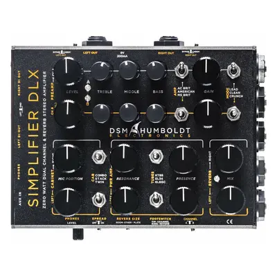 DSM & Humboldt Simplifer DLX Kytarový zesilovač