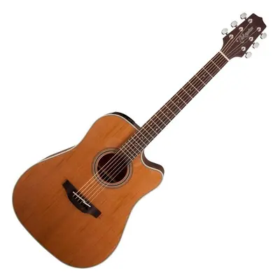 Takamine GD20CE Natural Satin Elektroakustická kytara Dreadnought