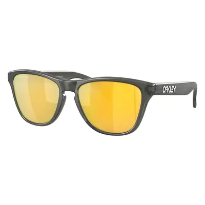 Oakley Frogskins Matte Grey Smoke/Prizm 24K Polar Lifestyle brýle