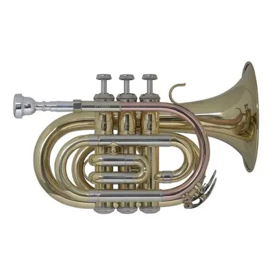 Bach PT650 Bb Bb Trumpeta