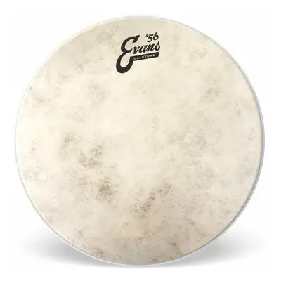 Evans TT18C7 Calftone 18" Blána na buben