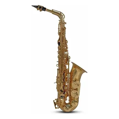 Roy Benson AS-202 Alto saxofon