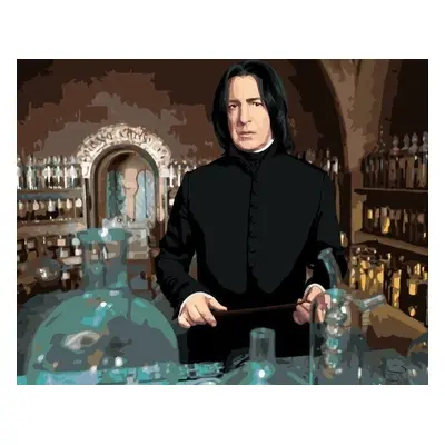 Zuty Malování podle čísel Severus Snape ve třídě lektvarů (Harry Potter)