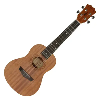 Arrow MH-10 Natural Koncertní ukulele