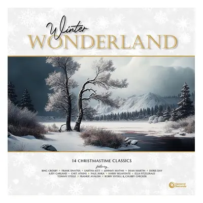 Various Artists - Winter Wonderland (LP)