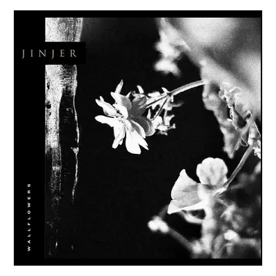 Jinjer - Wallflowers (Limited Edition) (LP)