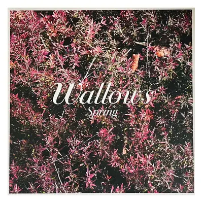 Wallows - Spring (Green & Pink Coloured) (12" Vinyl)