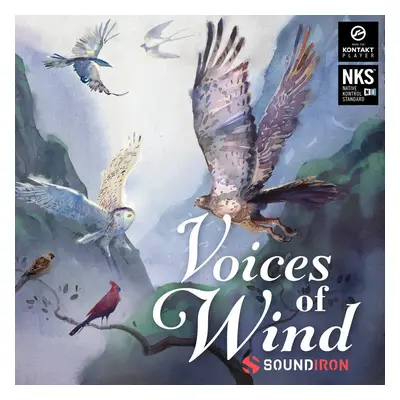 Soundiron Voices of Wind Collection (Digitální produkt)