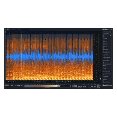 iZotope RX STD: UPG fr. any previous RX STD, ADV, PPS (Digitální produkt)