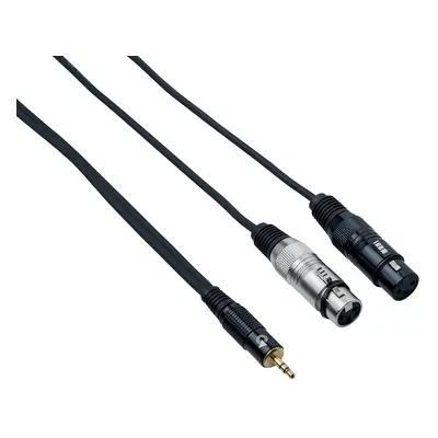 Bespeco EAYMS2FX300 m Audio kabel