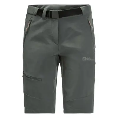 Jack Wolfskin Ziegspitz Shorts W Slate Green S-M Kraťasy