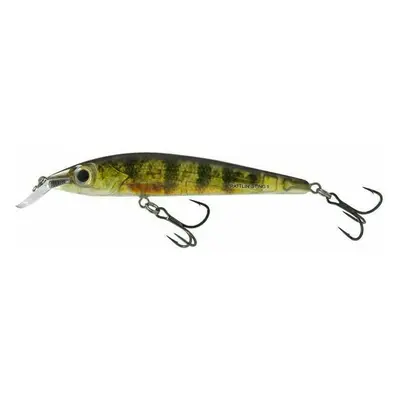 Salmo Rattlin' Sting Suspending Real Yellow Perch cm g Wobler