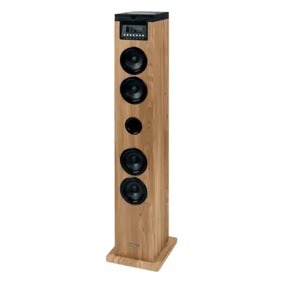 Thomson DS122CD Natural-Black Partybox