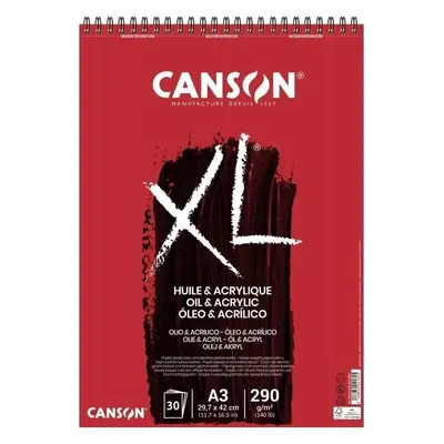 Canson Sp Huile Et Acrylique Skicář g