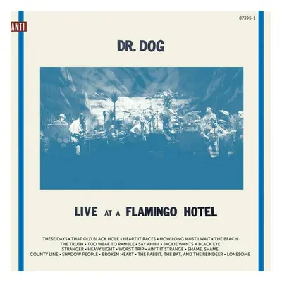 Dr. Dog - Live At A Flamingo Hotel (2 LP)