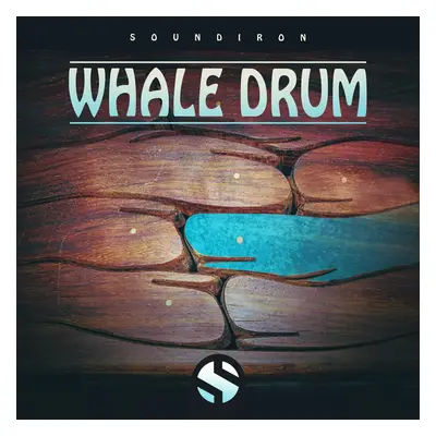 Soundiron Whale Drum (Digitální produkt)