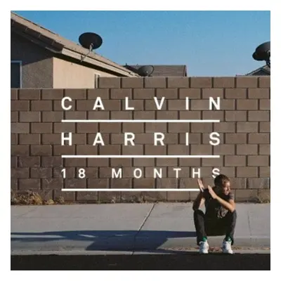 Calvin Harris Months (2 LP)