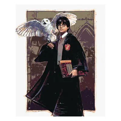 Zuty Malování podle čísel Harry Potter a Hedvika v Bradavicích