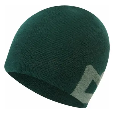 Mountain Equipment Branded Knitted Beanie Pine/Sage Lyžařská čepice