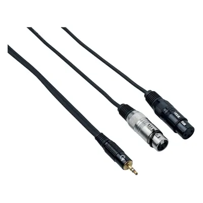 Bespeco EAYMS2FX500 m Audio kabel