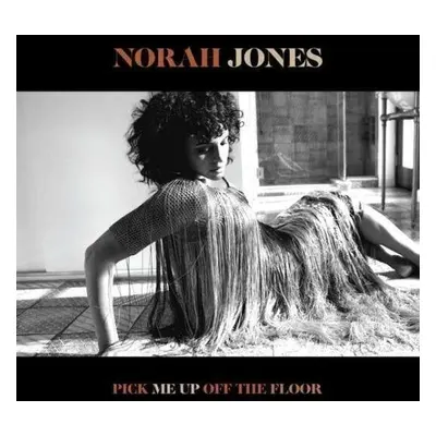 Norah Jones Pick Me Up Off The Floor (LP)