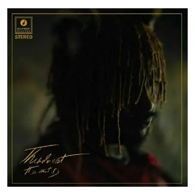 Thundercat - It Is What It Is (LP)