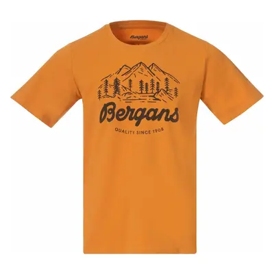 Bergans Classic V2 Tee Men Golden Field Tričko