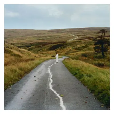 Jordan Rakei - The Loop (2 LP)