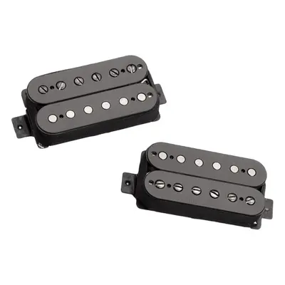 Seymour Duncan Pegasus Sentient Set Black Kytarový snímač