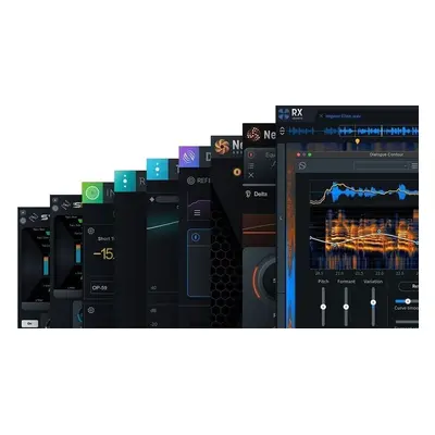 iZotope RX Post Production Suite 8.5 (Digitální produkt)