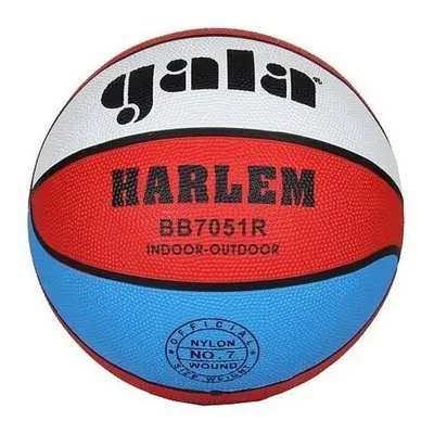 Gala Harlem Basketbal