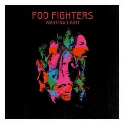 Foo Fighters Wasting Light (2 LP)