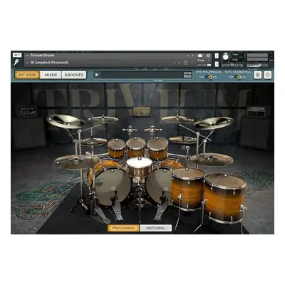 Bogren Digital Trivium Drums (Digitální produkt)