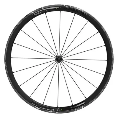 Ursus Miura TS37 Evo 29/28" (622 mm) Kotoučová brzda 12x100 Center Lock mm Přední kolo