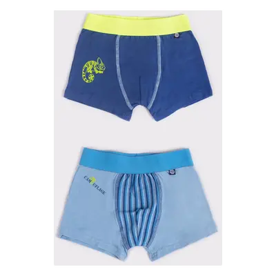 Yoclub Kids's 2Pack Boy's Boxer Briefs BMB-0013C-AA30