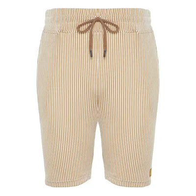 Trendyol Beige Striped Regular Cut Shorts