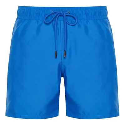 Trendyol Blue Penguin Embroidered Swim Shorts