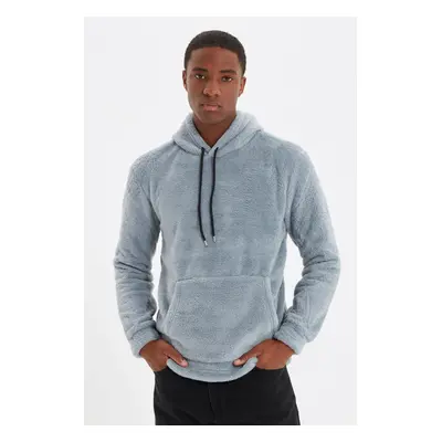 Trendyol Grey Regular/Normal Cut Hooded Warm Plush Sweatshirt