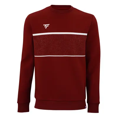 Pánská mikina Tecnifibre Club Sweater Cardinal