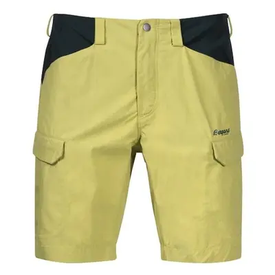 Pánské kraťasy Bergans Utne Shorts Green