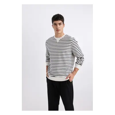 DEFACTO Modern Fit Crew Neck Striped Sweatshirt