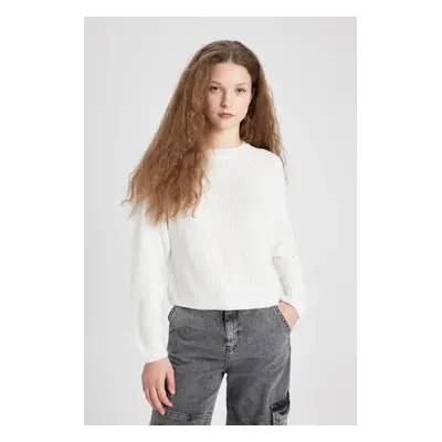 DEFACTO Cool Regular Fit Crew Neck Basic Plain Knitwear Sweater