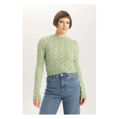 DEFACTO Crop Crew Neck Knitwear Sweater