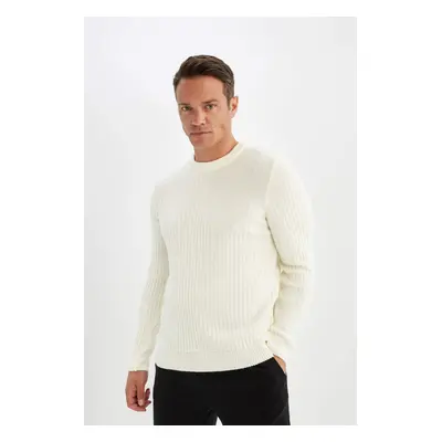 DEFACTO Standard Fit Regular Cut Crew Neck Jacquard Aviator Knitwear Sweater