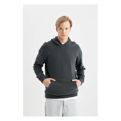 DEFACTO Comfort Regular Fit Casual Pattern Hooded Basic Sweatshirt