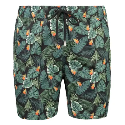 Pánské koupací kraťasy Trendyol Tropical Print