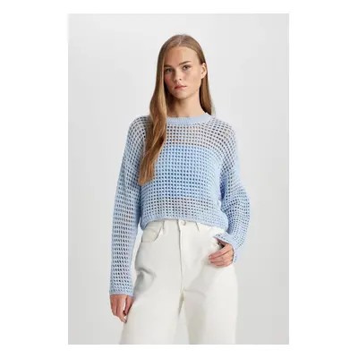 DEFACTO Regular Fit Crew Neck Crochet Knitwear Sweater