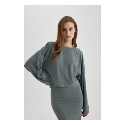 DEFACTO Relax Fit Crew Neck Basic Plain Long Sleeve T-Shirt