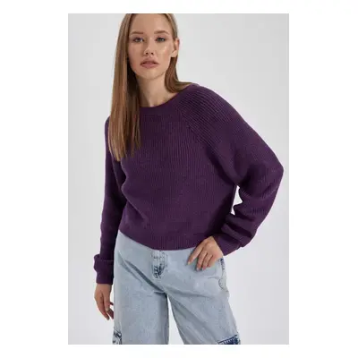 DEFACTO Cool Regular Fit Crew Neck Basic Sweater