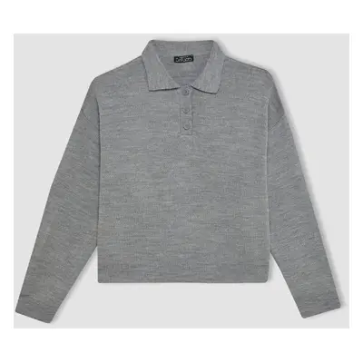 DEFACTO Cool Regular Fit Polo Collar Buttoned Basic Plain Knitwear Sweater